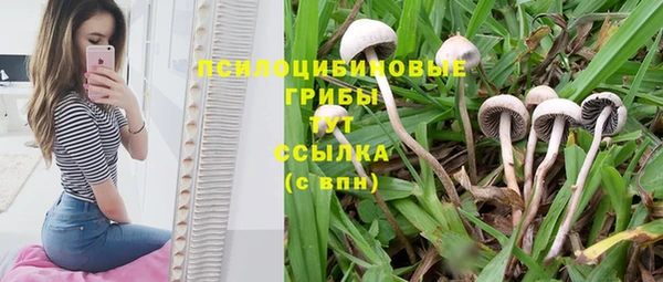 метадон Заволжск